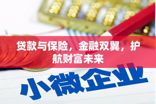 平舆贷款与保险，金融双翼，护航财富未来