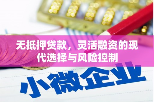 平舆无抵押贷款，灵活融资的现代选择与风险控制