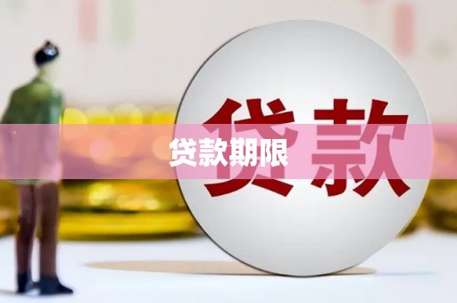 平舆贷款期限