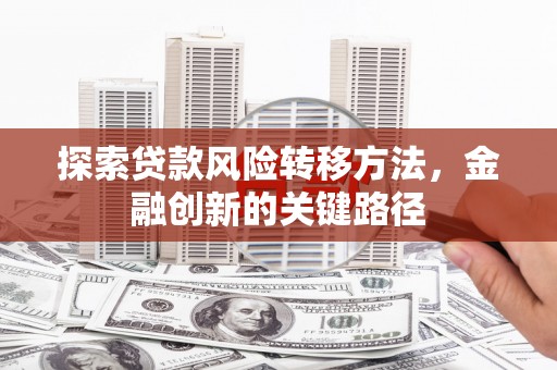 平舆探索贷款风险转移方法，金融创新的关键路径
