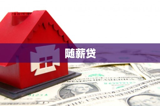 平舆随薪贷