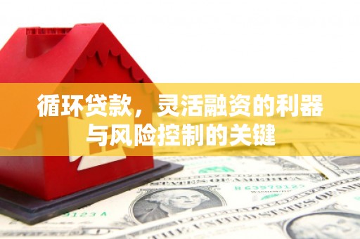 平舆循环贷款，灵活融资的利器与风险控制的关键