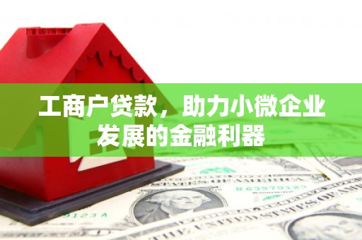 平舆工商户贷款，助力小微企业发展的金融利器