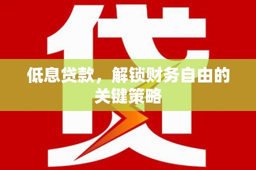 平舆低息贷款，解锁财务自由的关键策略