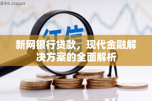 平舆新网银行贷款，现代金融解决方案的全面解析