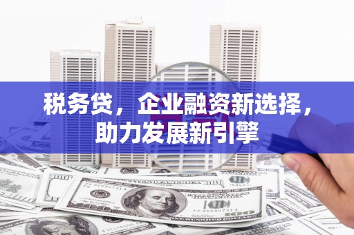 平舆税务贷，企业融资新选择，助力发展新引擎