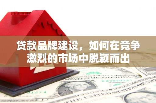 平舆贷款品牌建设，如何在竞争激烈的市场中脱颖而出