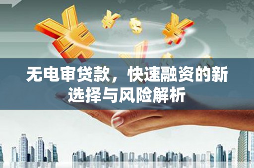 平舆无电审贷款，快速融资的新选择与风险解析
