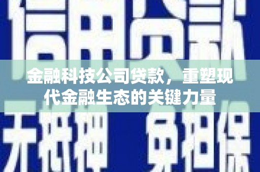 平舆金融科技公司贷款，重塑现代金融生态的关键力量