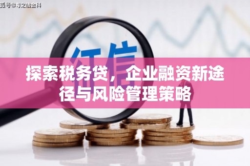 平舆探索税务贷，企业融资新途径与风险管理策略
