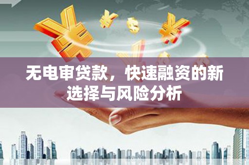 平舆无电审贷款，快速融资的新选择与风险分析