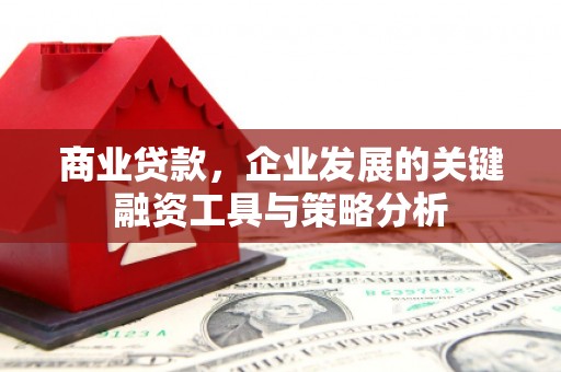 平舆商业贷款，企业发展的关键融资工具与策略分析