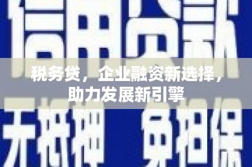 平舆税务贷，企业融资新选择，助力发展新引擎