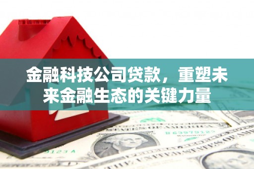 平舆金融科技公司贷款，重塑未来金融生态的关键力量