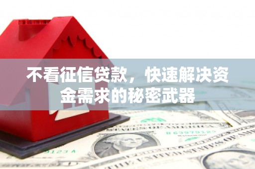 平舆不看征信贷款，快速解决资金需求的秘密武器