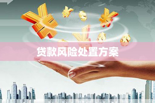 平舆贷款风险处置方案