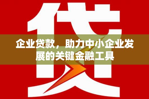 平舆企业贷款，助力中小企业发展的关键金融工具