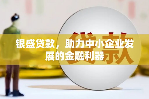 平舆银盛贷款，助力中小企业发展的金融利器