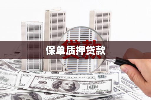 平舆保单质押贷款