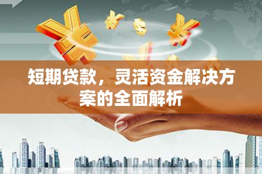 平舆短期贷款，灵活资金解决方案的全面解析