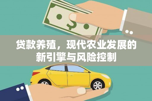 平舆贷款养殖，现代农业发展的新引擎与风险控制