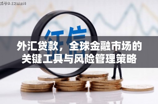 平舆外汇贷款，全球金融市场的关键工具与风险管理策略