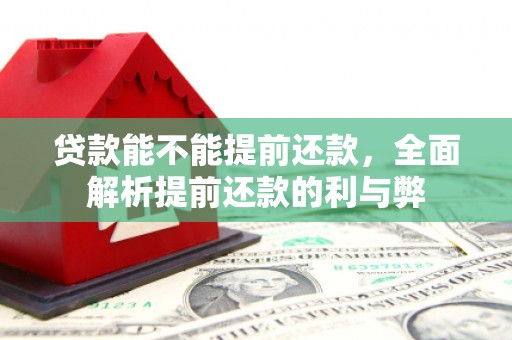 平舆贷款能不能提前还款，全面解析提前还款的利与弊