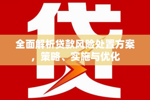 平舆全面解析贷款风险处置方案，策略、实施与优化