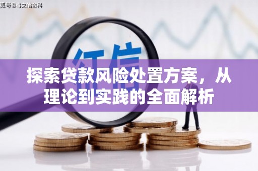 平舆探索贷款风险处置方案，从理论到实践的全面解析