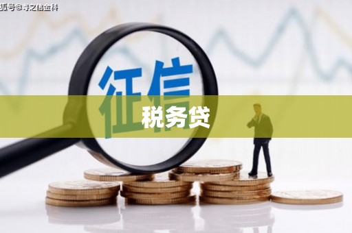 平舆税务贷