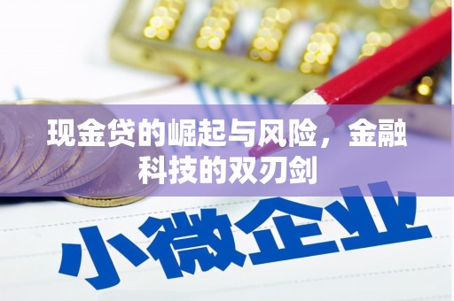 平舆现金贷的崛起与风险，金融科技的双刃剑