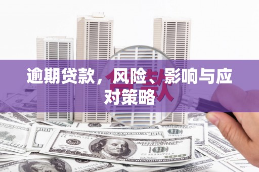 平舆逾期贷款，风险、影响与应对策略