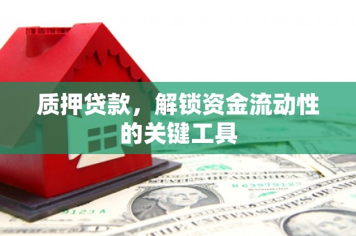 平舆质押贷款，解锁资金流动性的关键工具