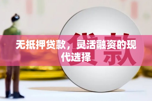 平舆无抵押贷款，灵活融资的现代选择