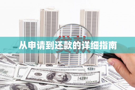 平舆从申请到还款的详细指南