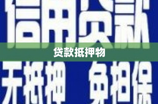 平舆贷款抵押物