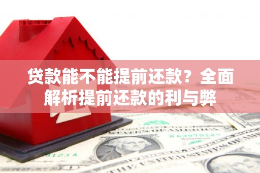 平舆贷款能不能提前还款？全面解析提前还款的利与弊