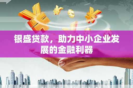 平舆银盛贷款，助力中小企业发展的金融利器