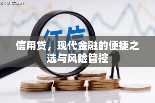 平舆信用贷，现代金融的便捷之选与风险管控