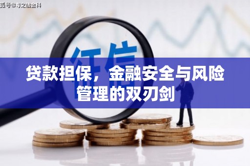 平舆贷款担保，金融安全与风险管理的双刃剑