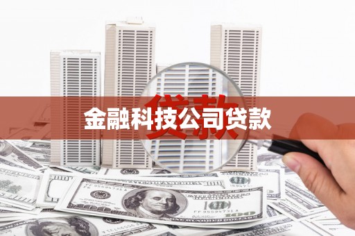 平舆金融科技公司贷款