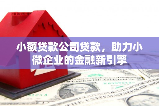 平舆小额贷款公司贷款，助力小微企业的金融新引擎