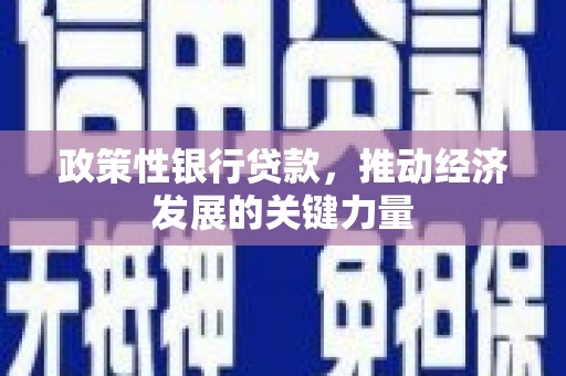 平舆政策性银行贷款，推动经济发展的关键力量