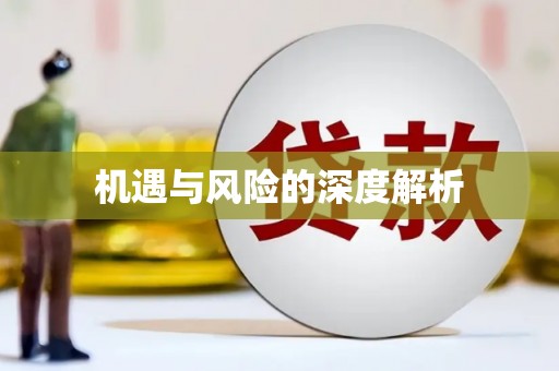 平舆机遇与风险的深度解析