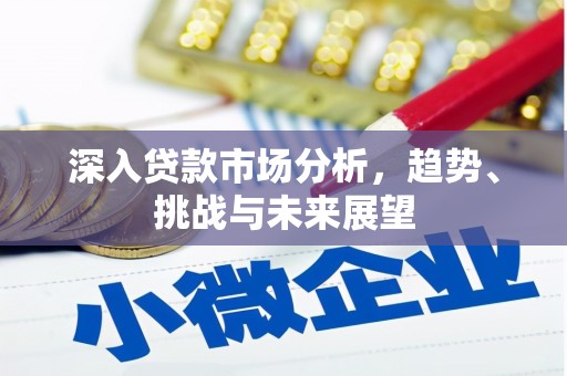 平舆深入贷款市场分析，趋势、挑战与未来展望