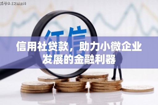 平舆信用社贷款，助力小微企业发展的金融利器