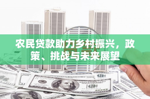 平舆农民贷款助力乡村振兴，政策、挑战与未来展望