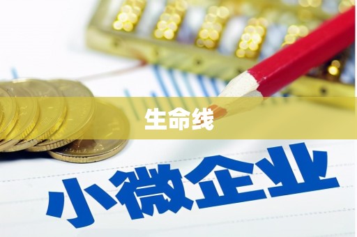 平舆生命线