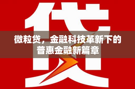 平舆微粒贷，金融科技革新下的普惠金融新篇章
