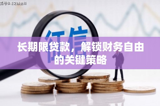 平舆长期限贷款，解锁财务自由的关键策略